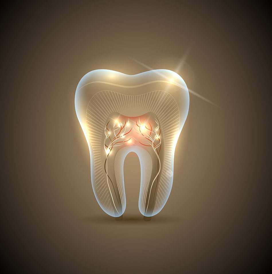 Abbotsford Root Canal Treatment | East Abbotsford Dental | General Dentist Abbotsford